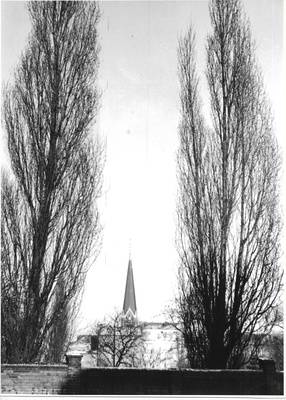 Turm der Versöhnungskirche zwischen zwei Pappeln