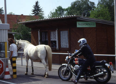 Pferd passiert die Grenze am provisorischen Grenzübergang Benschallee