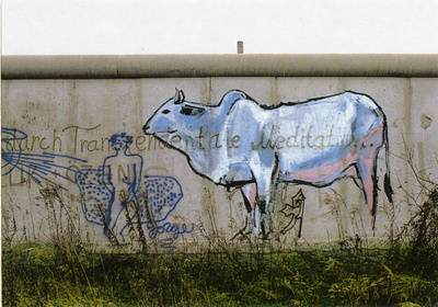 Mauerkunst mit Stier an der Grenzmauer 75 am Görlitzer Ufer