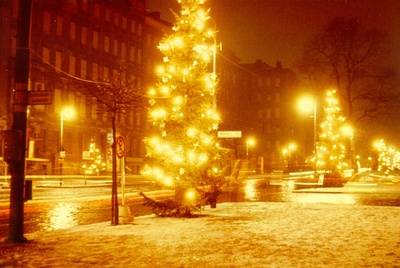 Erleuchtete Weihnachtsbäume an der Bernauer Straße/Wolliner Straße